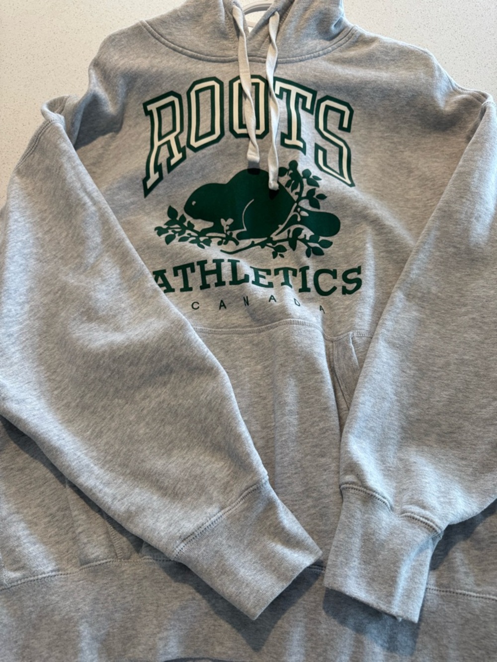 Roots Gray Hoodie with Dark Green Beaver Logo